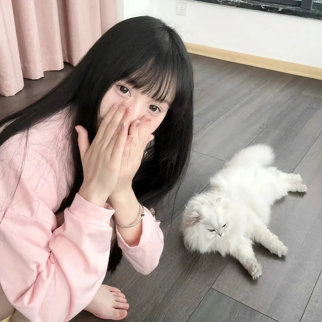 狗舍
